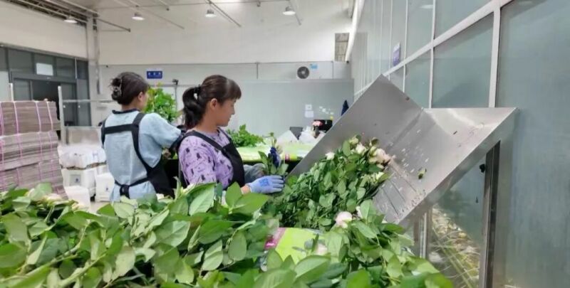 微信图片_2026-08-03_164727_588.jpg